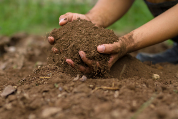 hands holding soil