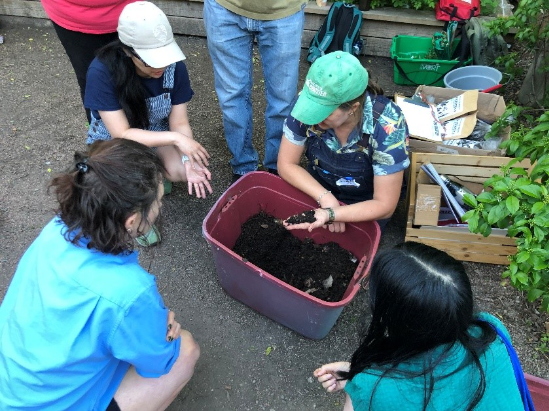 A group of volunteers and workshop leader crouched around a red bin filled with garden soil.