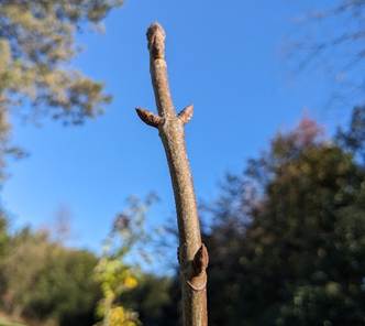 © 2025 Adam James / LEAF