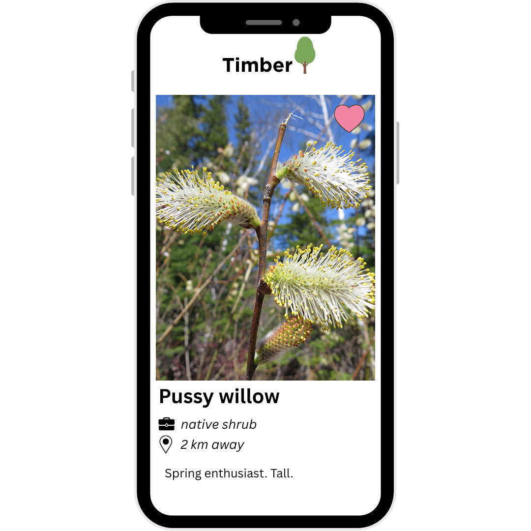 A phone with a screen showing a willow branchAI-generated content may be incorrect.
