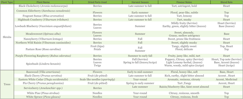 image of native plant tea pdf cheat sheet