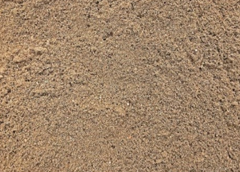 sandy soil