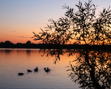 Lake Wilcox at sunset