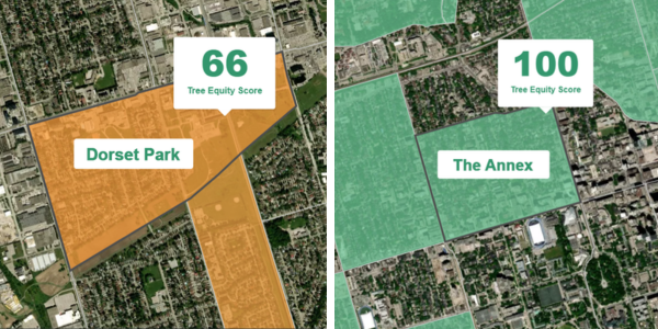 Screenshots taken from TESA showing low canopy and high canopy neighbourhoods in Toronto.