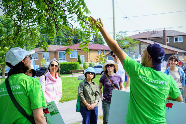 A YUFL participant in a green volunteer shirt points to a tree branch while leading a tree tour for a group of community members