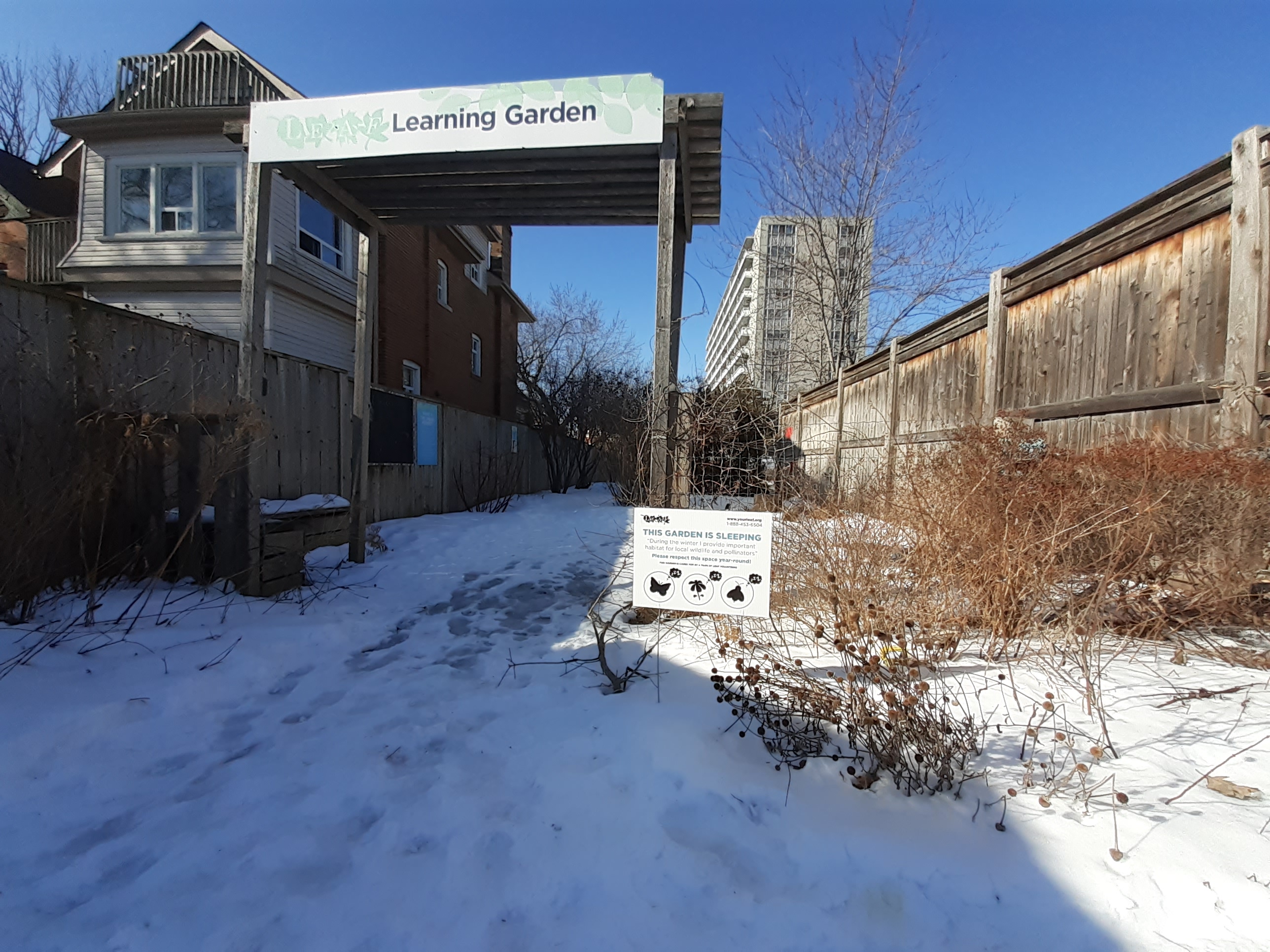 LEAF Learning Garden in the winter(© 2020 Brian Millward / LEAF)