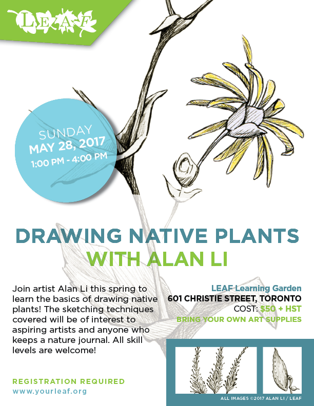 Drawing Native Plants with Alan Li