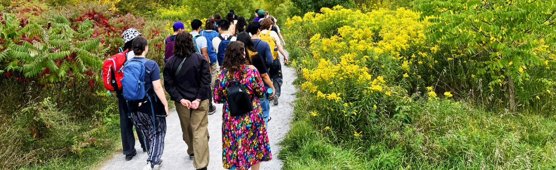 group of people walking along a meadow patch in fall