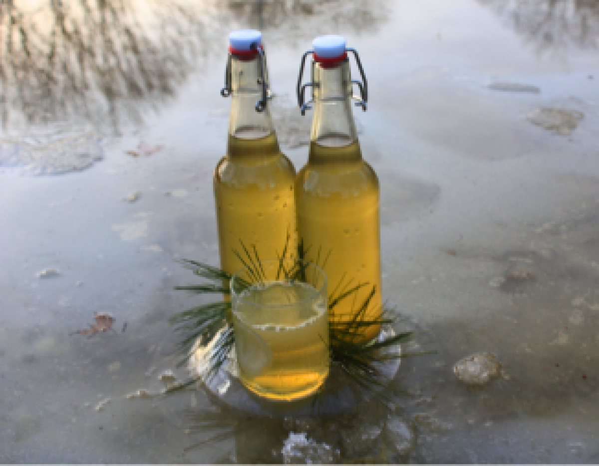 Bottles and glass have a picturesque moment in the evening light of late winter. 