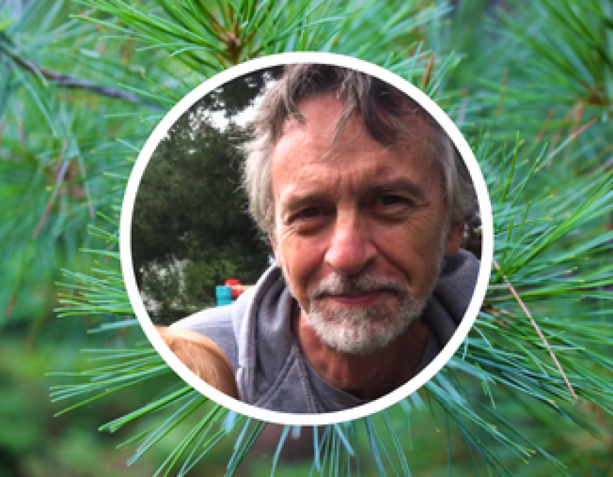 © 2026 / LEAF inset of Stuart Grant on a background image of white pine.