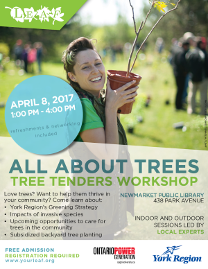 All About Trees Poster