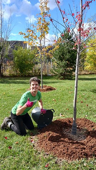 LEAF staff member mulching trees