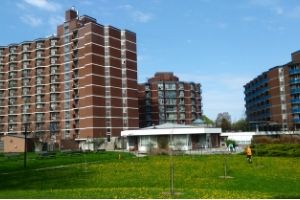 Kendleton TCHC property(© 2019 Daniela Serodio / LEAF)