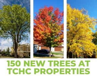 Collage of American elm, sugar maple and honey locust. Reads: "150 new trees at TCHC properties"