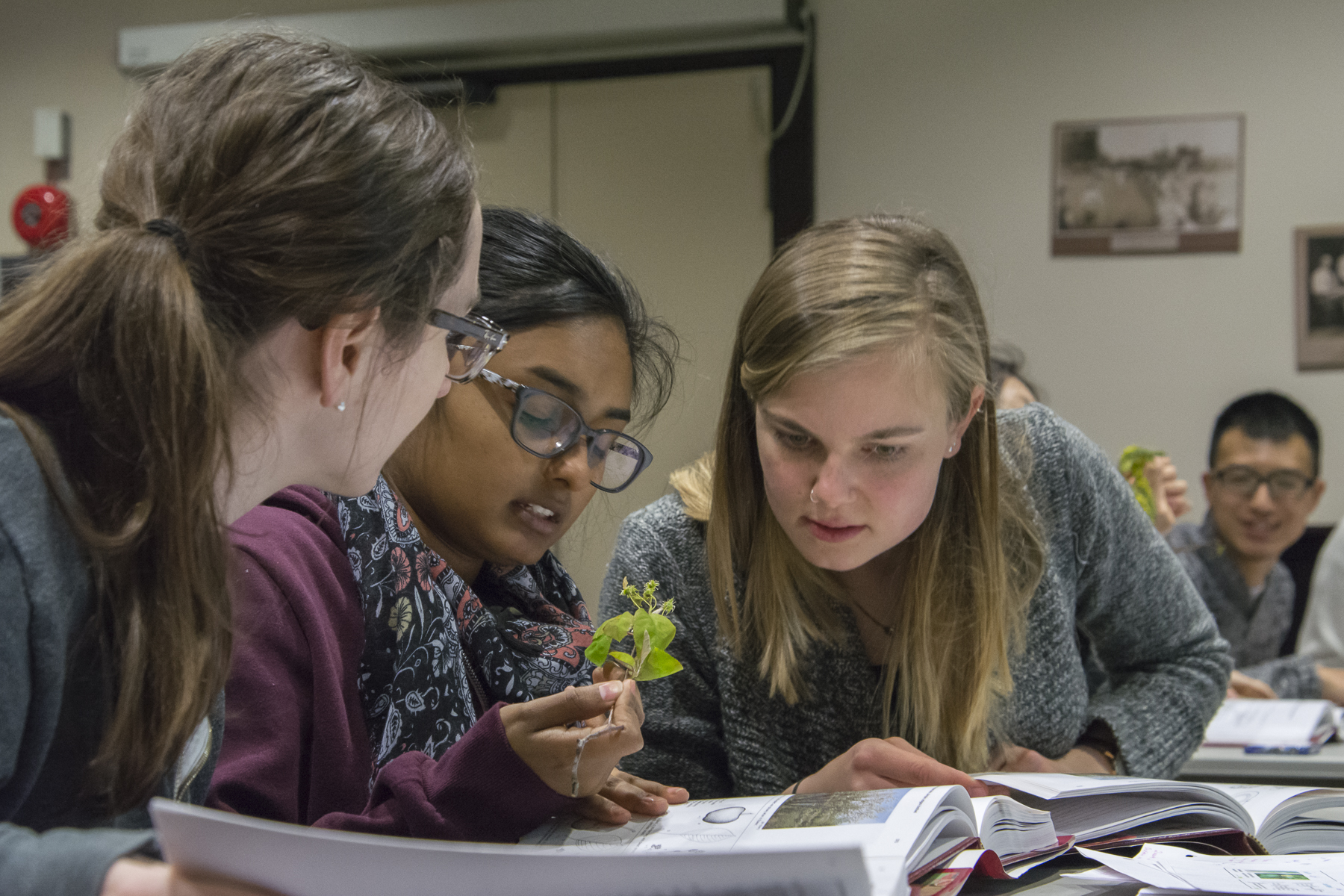 Young women studying leaves(© 2017 Lillian Natalizio / LEAF)