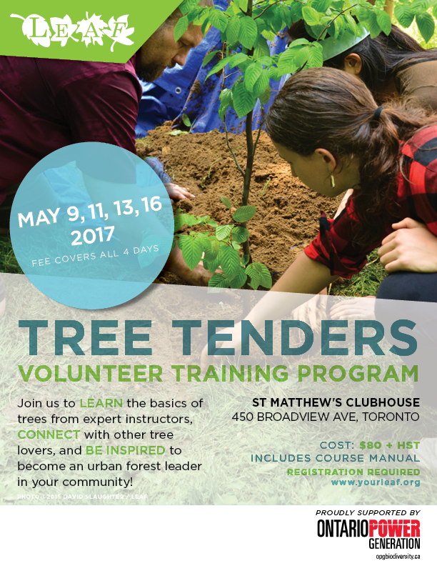 Tree Tenders Toronto Tree Tenders Toronto