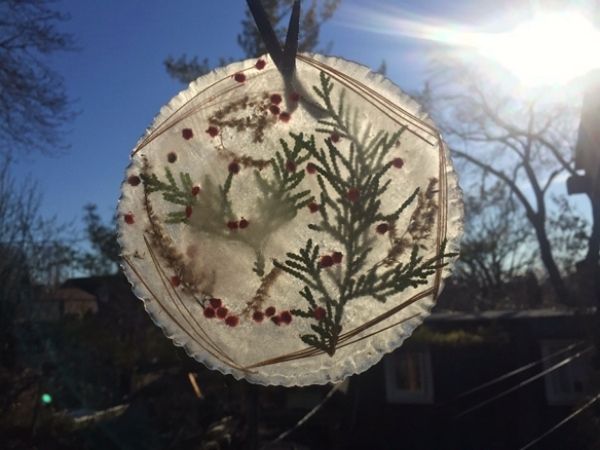 Ice suncatcher(© 2021 Sarah Halonen/LEAF)