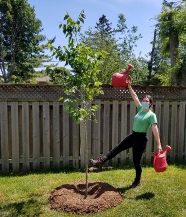 LEAF staff holding watering cans next to newly planted tree(©2020 Adriana Rezai-Stevens / LEAF)