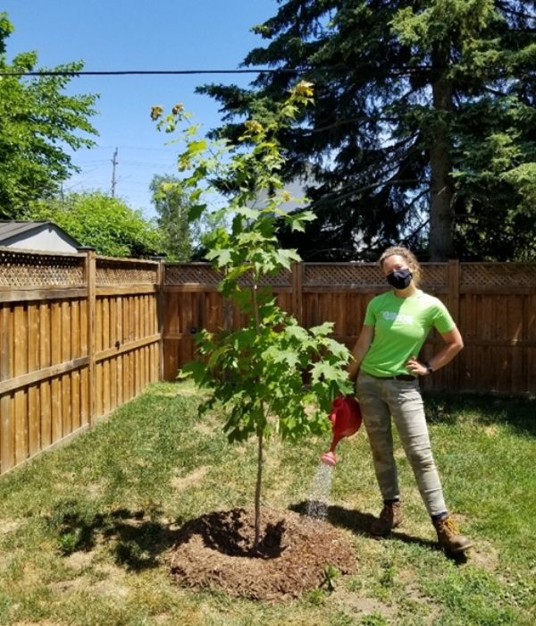 LEAF staff watering newly planted tree(©2021 Brenna Anstett / LEAF)