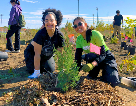 two people planting a tree at a LEAF community planting event