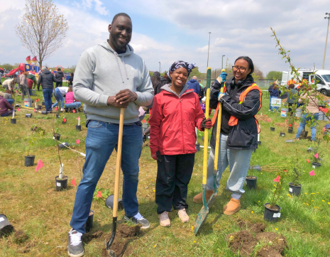 A group of three volunteers participating at a LEAF planting event 