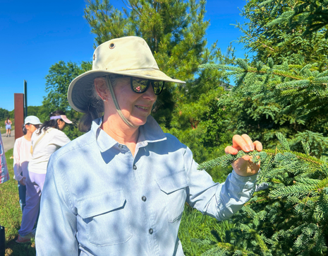 © 2026 Nishi Trivedi / LEAF Participants at a LEAF tree tour