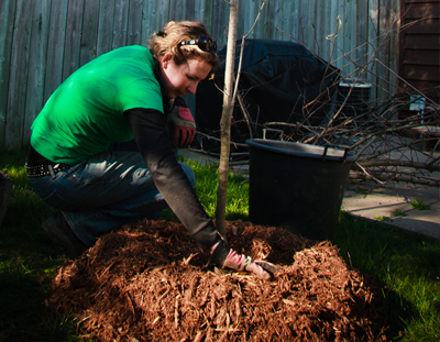 Mulching my tree