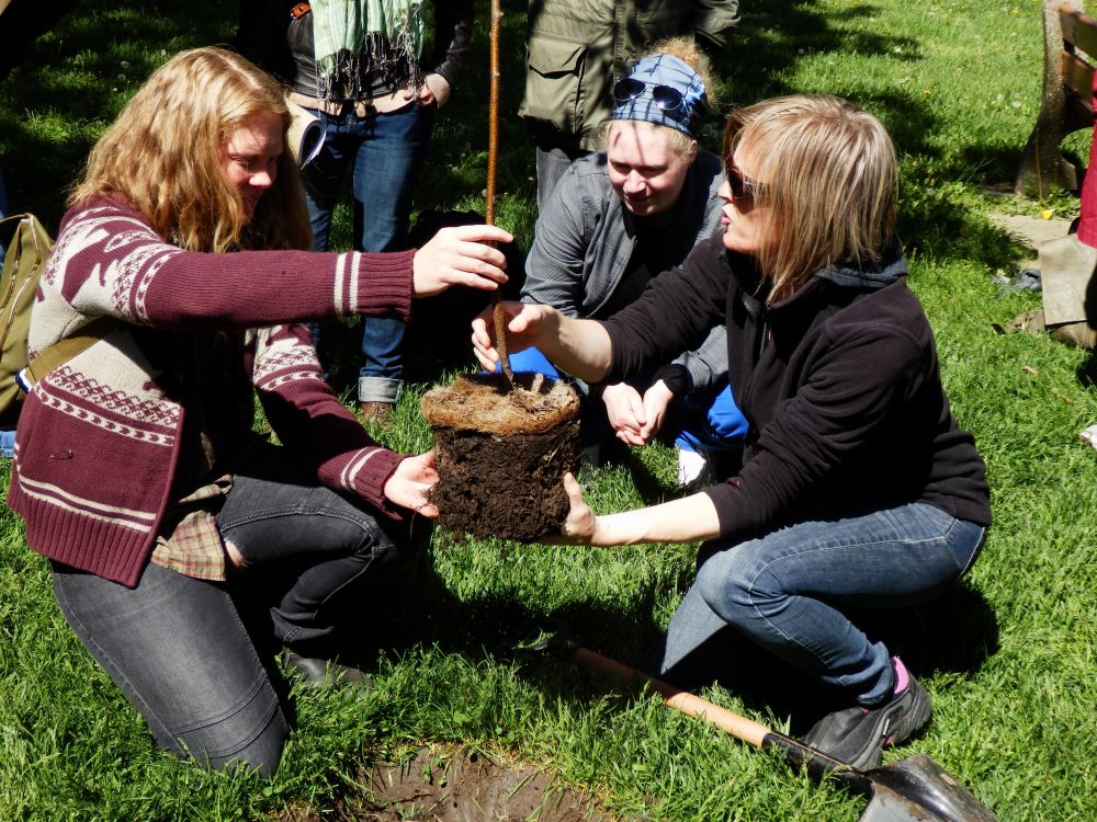 Tree Tenders Volunteer Training