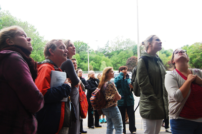 Wendy Strickland encourages tree tenders to look up in the urban forest