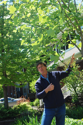 Philip Van Wassaner talks tree ID 