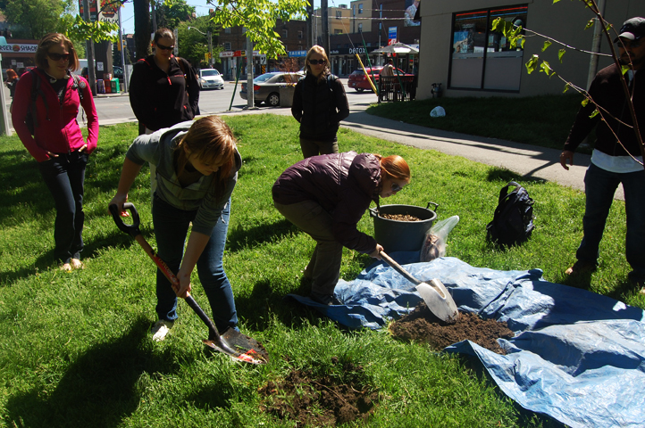 Tree Tenders Volunteer Training