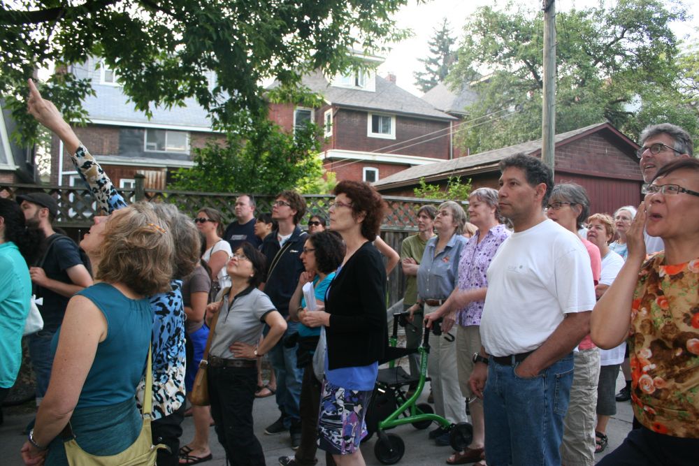 Salvaing urban wood tree tour