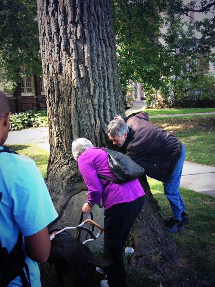 Heritage Tree Tour