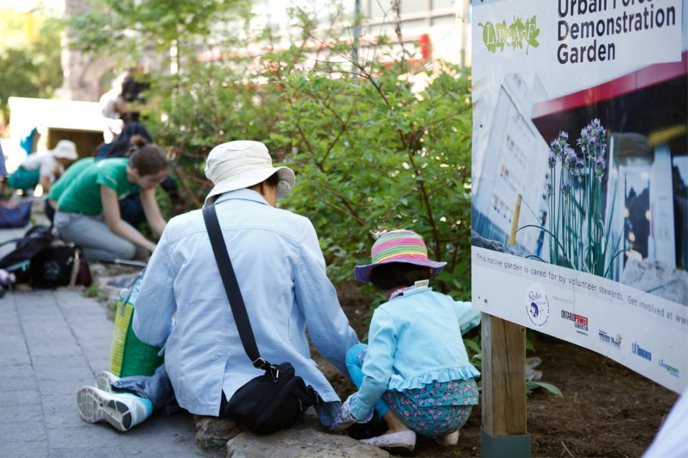 © 2014 Mike Barlas 100in1Day at Spadina Garden