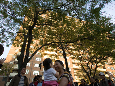 Parkdale Tree Tour