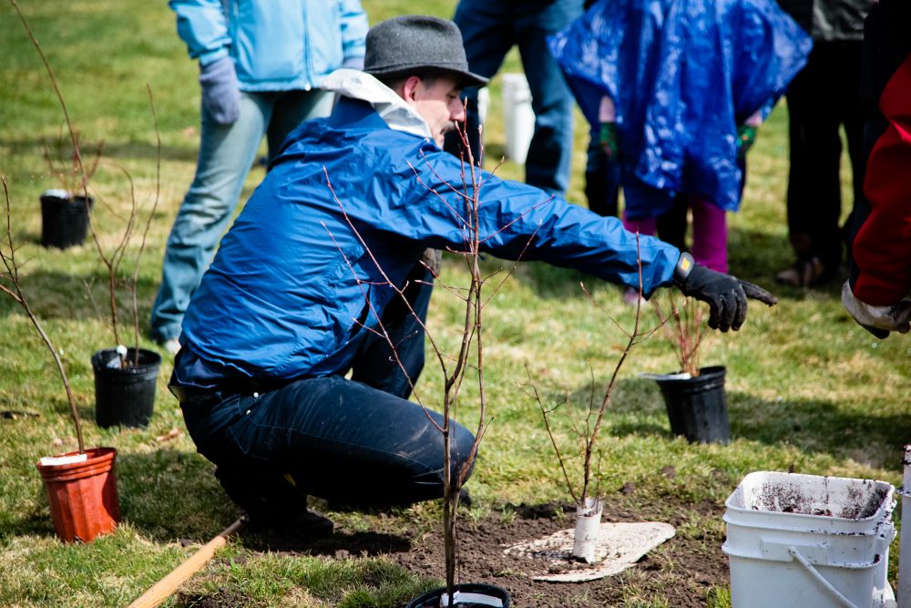 Toronto Hydro Tree Planting