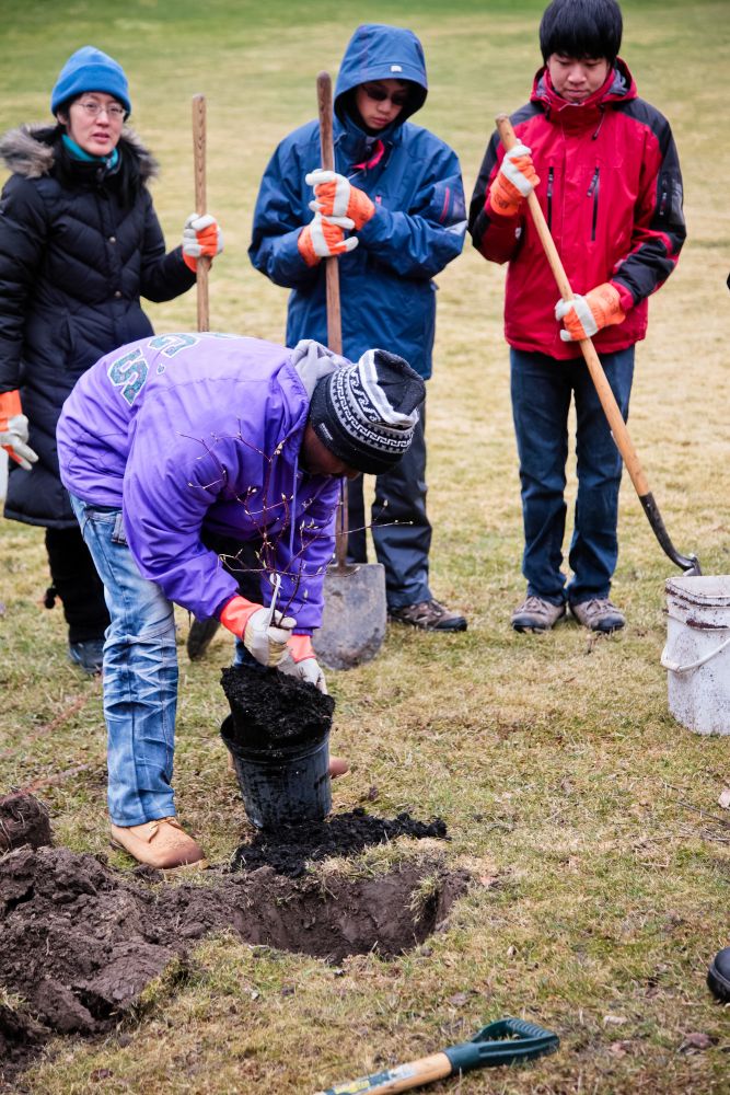 Planting