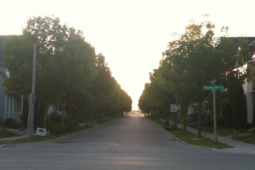 Markham Streetscape