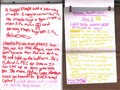 Notes from High Park Nature Centre