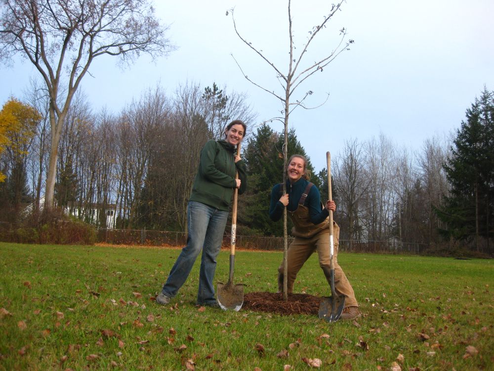 Tree Planting with Brenna