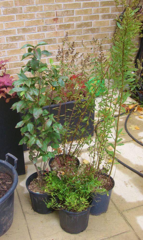 ©2016 Brenna Anstett/LEAF