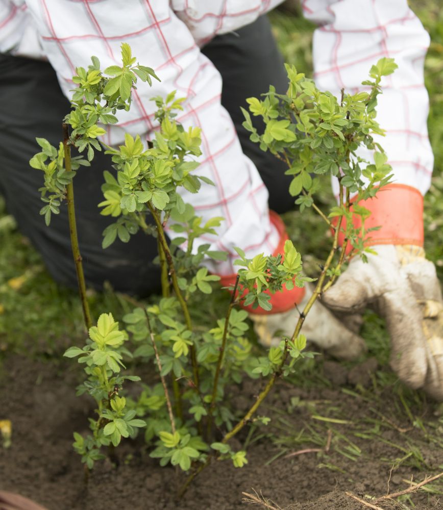 ©2016 Michael Tenaglia/LEAF
