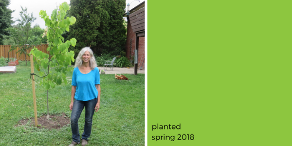 Homeowner next to her new tree