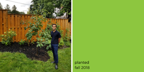 Homeowner next to his new tree