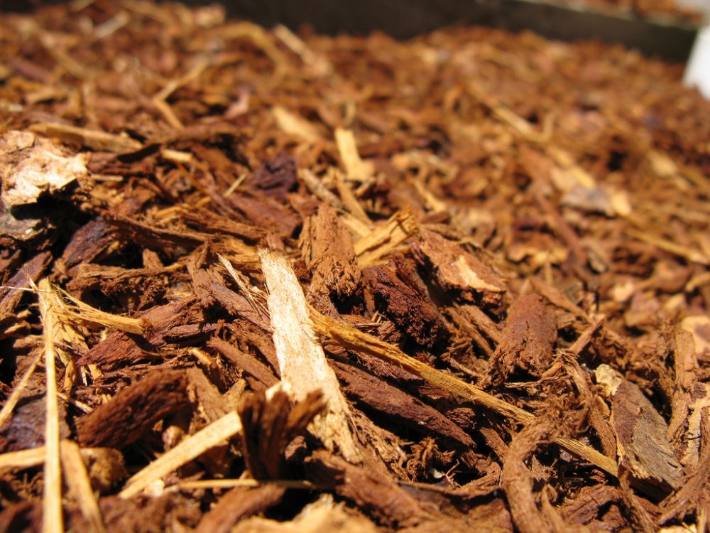 CC- 2008 rfduck- Mulch close up- Flickr commons
