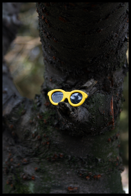 CC- 2009 Giuliano Garau- Tree with sunglasses - Flickr commons