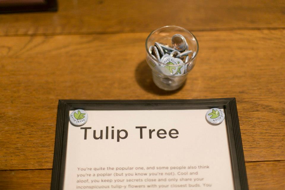 What tree are you?