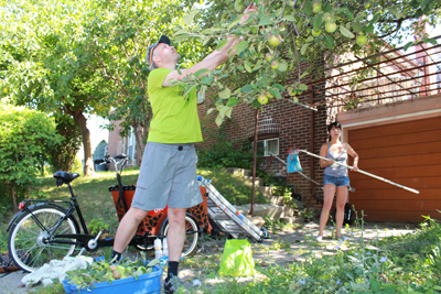 Not Far From The Tree Volunteers