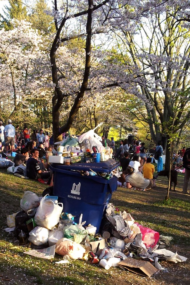 High Park garbage