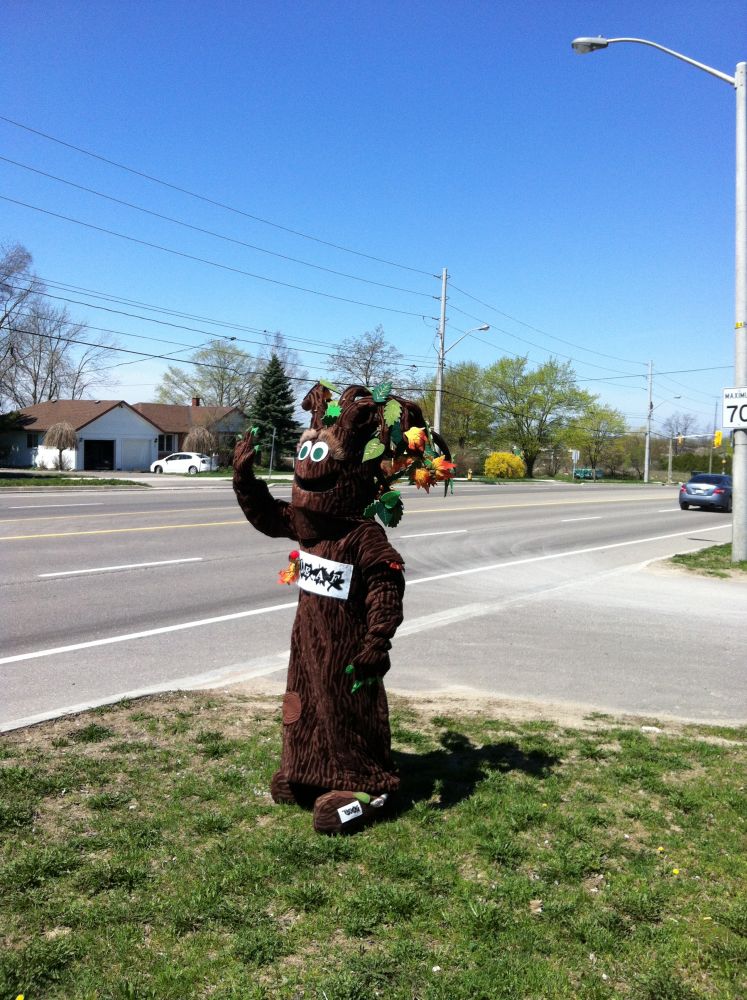 Barkley as a street tree